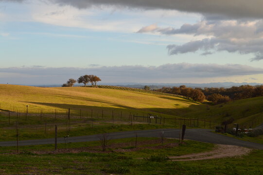 Pasture Landscape