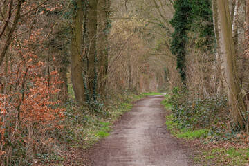 Obraz premium Landschaft bei BArlo im Münsterland