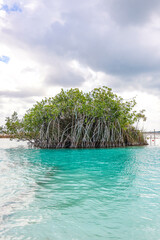 Bacalar Lagoon, near Cancun in Riviera Maya, Mexico