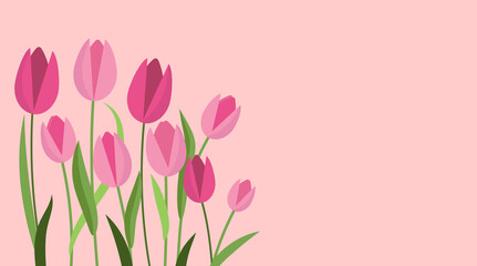 pink fragrant tulips on a light background. the concept of growing dutch tulips	