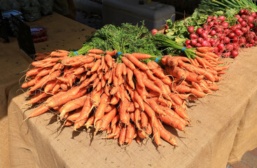 Carrots and radishes for sale at the Farmer's Market in Mount Dora, Florida, USA.