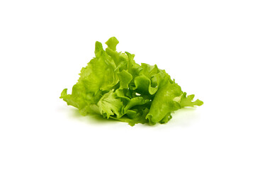 Fresh green lettuce, isolated on white background