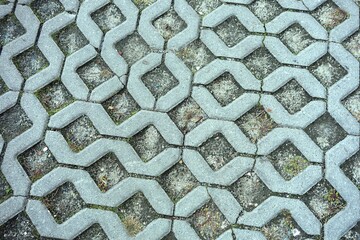 Concrete openwork plates used as garden road and parking lot for cars - obrazy, fototapety, plakaty