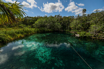 Fototapeta na wymiar Mexico tourism destination, Cenote Corazon near Tulum and Playa Del Carmen.