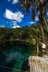 Fototapeta na wymiar Mexico tourism destination, Cenote Corazon near Tulum and Playa Del Carmen.