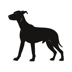 Fototapeta premium Dog Silhouette