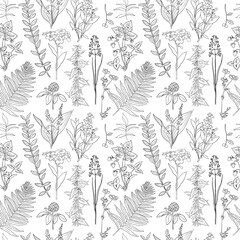 Black and white linear botanical seamless pattern forest herbs and plants
