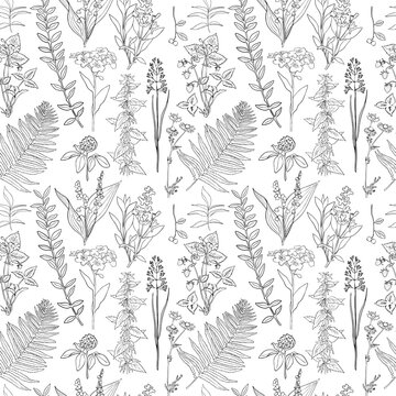 Black and white linear botanical seamless pattern forest herbs and plants