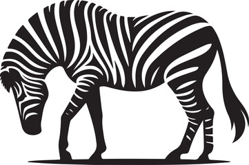 Zebra vector illustration
