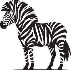 Obraz premium Zebra vector illustration