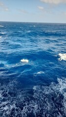 Fototapeta premium Waves