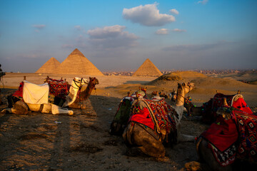 Sightseeing camel riding in the desert around the Pyramids of Giza, Egypt