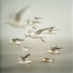 Fototapeta premium Colorful Birds for graphic resource for greeting cards, ads, presentation, etc.