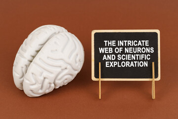 On a brown background, a model of the brain and a sign with the inscription - The intricate web of...