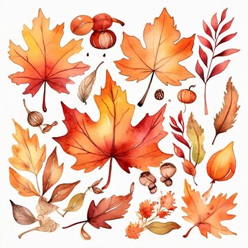 watercolor autumn leaves collection on white clip art preview