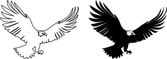 Flying eagle silhouette and line art. Vector illustration