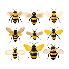 Honey bee set. Cartoon flying insects, winged honeybee, cute striped bumblebee insects flat vector illustration collection. Bee insects