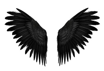 Obraz premium Symmetrical Black Bird Wings Isolated on White