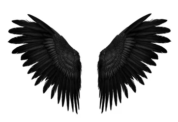 Fotobehang Symmetrical Black Bird Wings Isolated on White © grape_vein