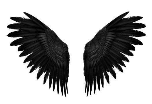 Symmetrical Black Bird Wings Isolated on White