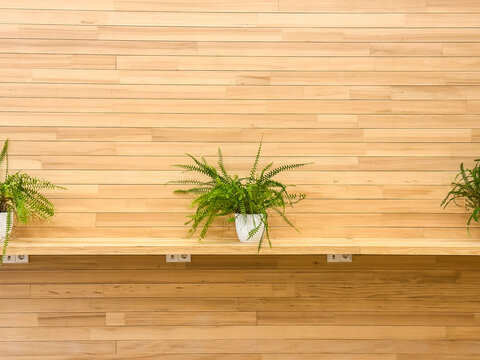 Wandvert&auml;felung