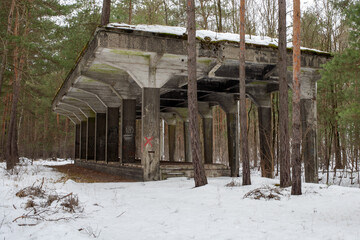 Żelbetonowa konstrukcja hali ukryta w środku lasu - pozostałość po starej fabryce amunicji