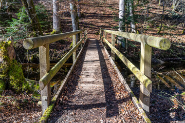 Hölzerne Fussgängerbrücke durch den Wald am Hackensee bei Holzkirchen Miesbach