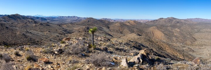 Scenic Mojave Desert Panoramic Landscape.  Lost Horse Mine Hiking Trail, Joshua Tree National Park California Southwest USA