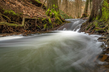 Obraz premium Uneticky creek with flooded water in winter spring evening in Prague