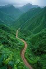 Winding dirt road through a dense green mountainous region with tropical vegetation.