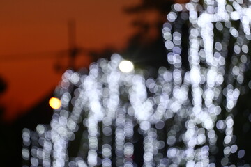 Blur White bokeh of Christmas tree lights background.
