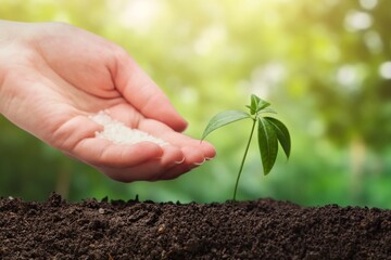hand holding tree planting in soil