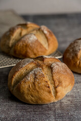 homemade sourdough bread made gray background