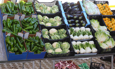 vegetable boxes with peppers cauliflower aubergines fennel milk for sale