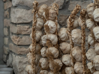 dried garlic on ropes against the wall.