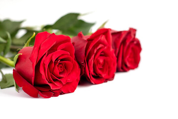 Bouquet of red roses on a white background with free space for text