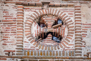 pigeons in a window transept, Iglesia de San Juan Bautista , Arévalo, Ávila province, Spain