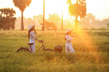 Two sister Vietnamese with white traditional dress walk pass green rice field in the morning with...
