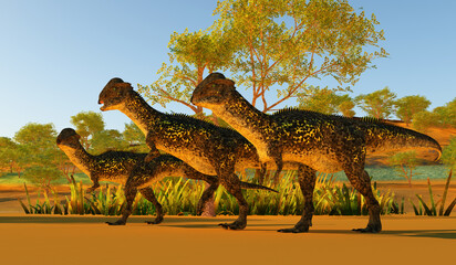 Stegoceras Dinosaurs - Stegoceras was a dome-headed herbivorous dinosaur that lived in North America during the Cretaceous Period.