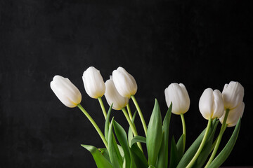 A bouquet of white tulips on a black background