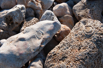 Imprints of shells in stones on the beach, close-up of limestone rocks.