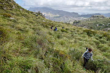 Obraz premium walkers ascending Coll Ciuro, Mortix, Escorca, Mallorca, Balearic Islands, Spain