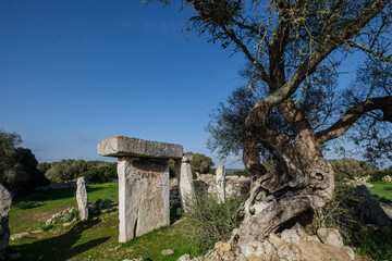 Talatí de Dalt prehistoric site, Maó, Menorca, Balearic Islands, Spain