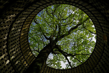 old medieval abandoned dovecote with a tree growing in the middle