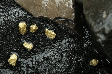 Shiny gold nuggets on wet stones, top view
