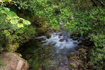 Obraz premium Bushwalking along the Mossman River in Mossman Gorge, Daintree National Park, Queensland, Australia