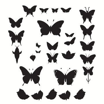 set of butterflies silhouettes