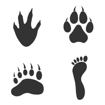 Human  and mammals - footprints silhouettes set isolated on white background, such as idea of logo in gray. Stock vector. EPS10.