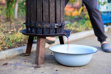Homemade Fer grape juice for wine production flows from a press into a basin. Background - obrazy, fototapety, plakaty