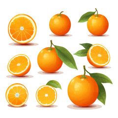 Set of fresh oranges. Orange fruit isolated on white background. Vector illustration for design and print